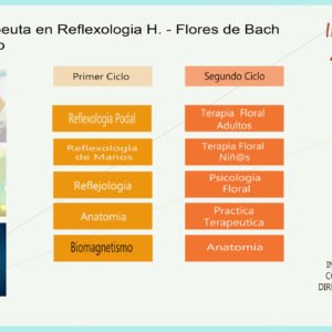 Curso Anual de Terapeuta Integral en Reflexología  Holística Emocional, Biomagnetismo y Flores de Bach, año 2022