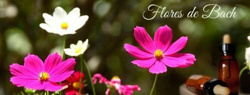 las-flores-de-bach las-flores-de-bach